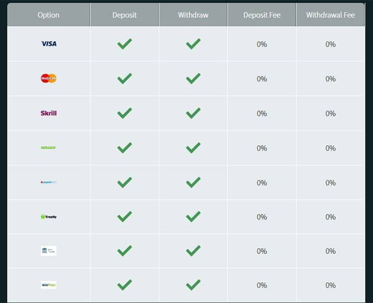 Payment Options of Ikibu which include Visa, Skrill, and Trustly.