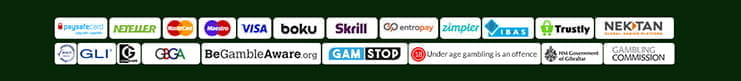 Various payment methods available at Irish Spins including Paysafecard, Neteller, Mastercard, Maestro, Visa, Skrill, Zimpler, Trustly and more.