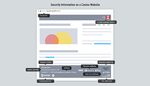 Security Details at a Newfoundland and Labrador Casino Site