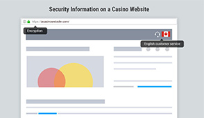 Ontario casino security details