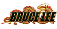 Bruce Lee Slot Review