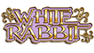 White Rabbit