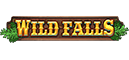 Falls slot logo