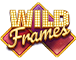 Wild Frames Slot Game