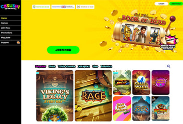 Homepage of Casushi.