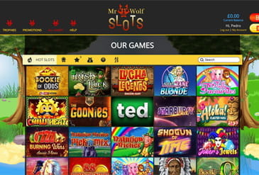 Casino Games of Mr Wolf Slots