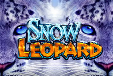 Top 3 Snow Leopard casinos