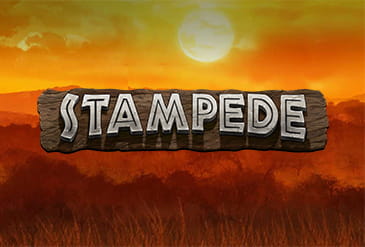 Stampede slot logo.