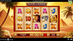 The slot Book of Kings at bet365 casino in NJ