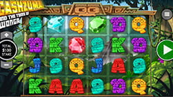 Cashzuma Slot Game