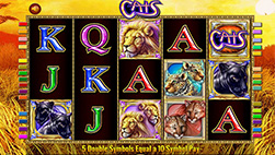 The slot Cats at WynnBET Casino in NJ