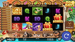 Dog Days slot played at LiveScore Bet