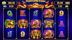 Fortune Coin