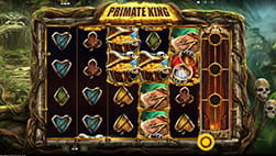 Primate King slot demo in Rose Slots Casino