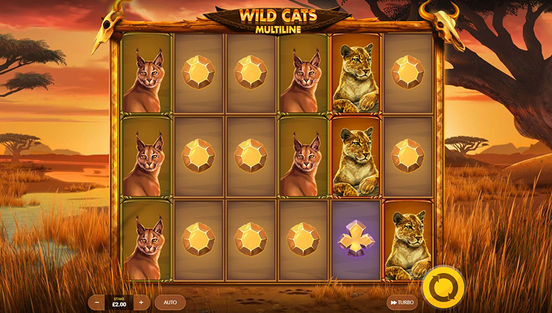 The Wild Cats Multiline demo game