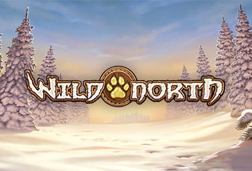 Top 5 Scam-free Wild North Casinos