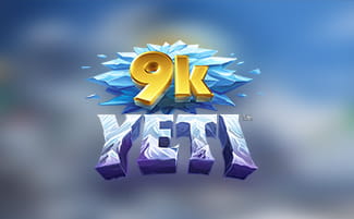 9k Yeti logo