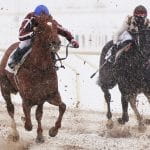 Horse racing in the snow