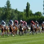 A Horse Race