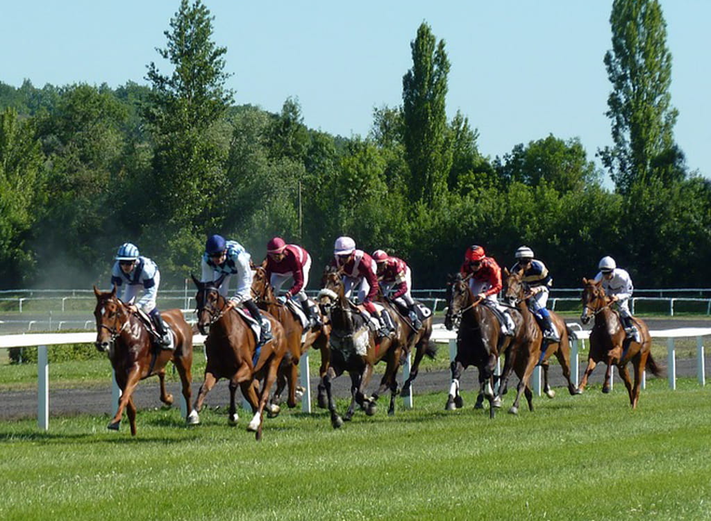 A Horse Race