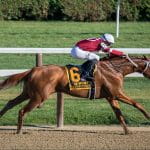 A Speeding Racehorse with an Interesting Name