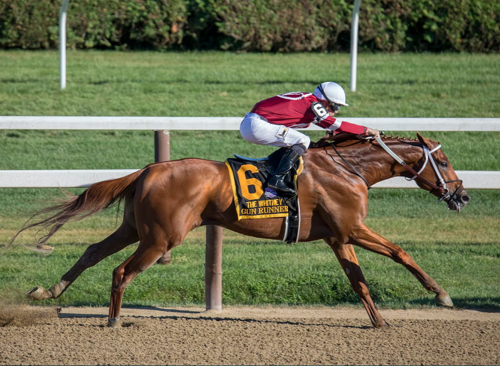 A Speeding Racehorse with an Interesting Name