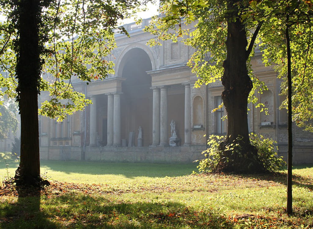 Building Surrounded by Nature